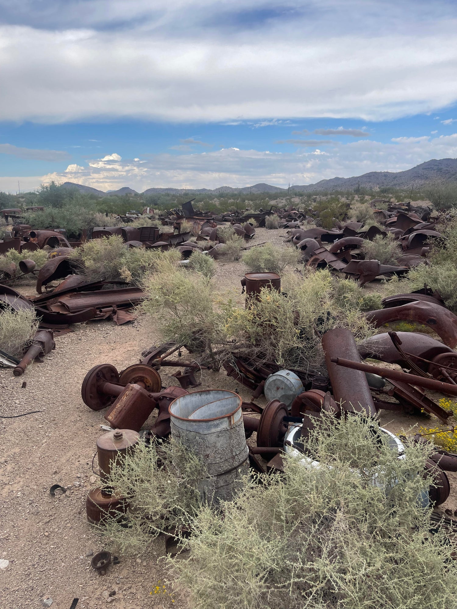 The Junkyard